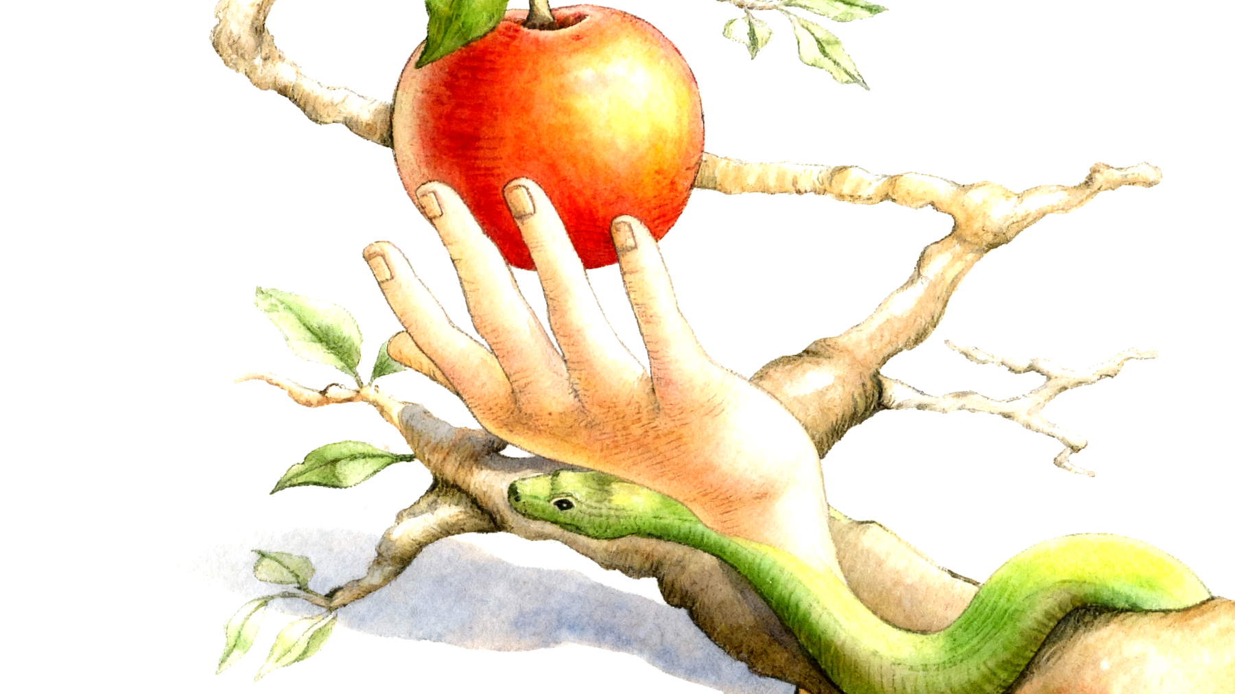 Forbidden Fruit2025-11-13T07:11:06.140Z"